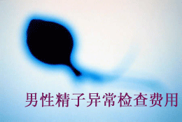 男性精子異常檢查費用